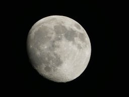 10109546